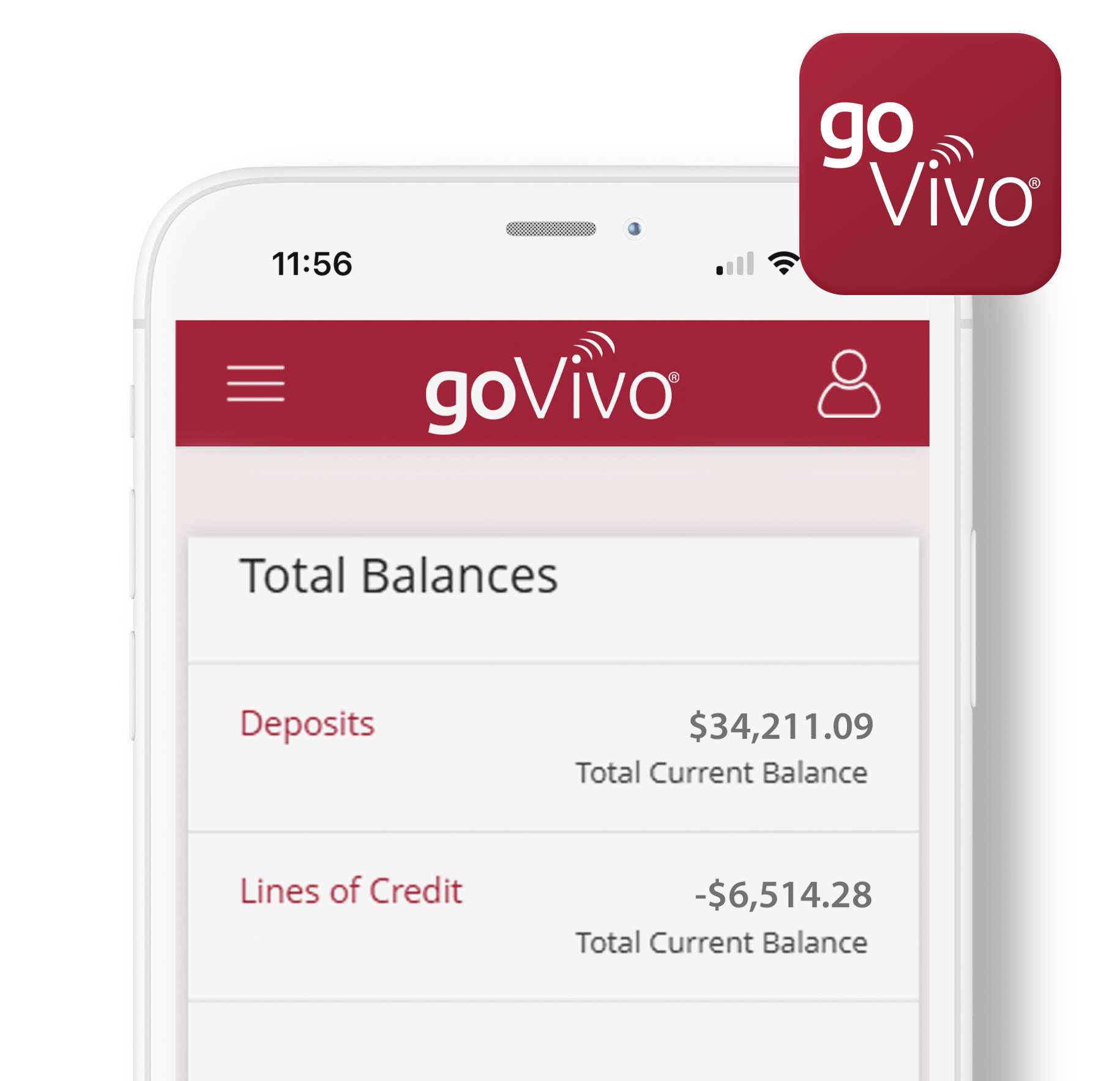 govivo-phone-mockup no banner govivo app